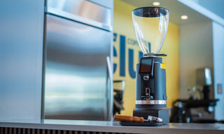 Ceado Leon Espresso Grinder