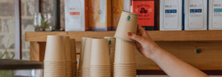 Person stacking Little Green Panda Friendly Cups