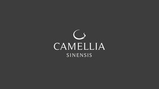Camellia Sinensis