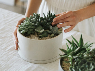 KINTO PLANT POT