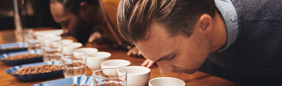 People smelling coffee during a cupping