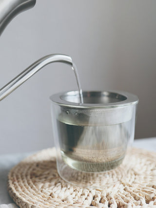 KINTO LEAVES TO TEA Cup with Strainer (260ml/8.8oz)