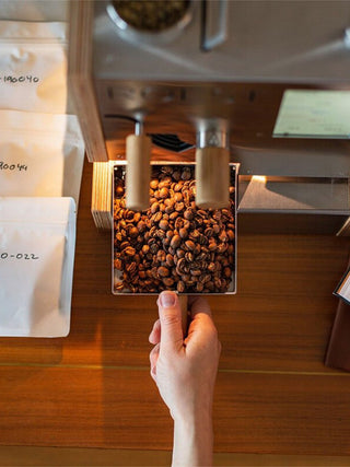 Photo of ROEST L100 Plus Coffee Roaster (120V) (w/ Pelican Case) ( ) [ ROEST ] [ Coffee Roasters ]