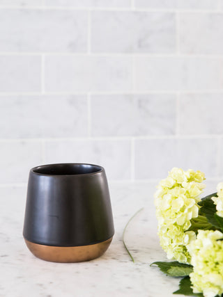 Photo of FELLOW Junior Mug (68ml/2.3oz) (2-Pack) ( ) [ Fellow ] [ Coffee Cups ]