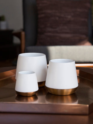 Photo of FELLOW Junior Mug (68ml/2.3oz) (2-Pack) ( ) [ Fellow ] [ Coffee Cups ]