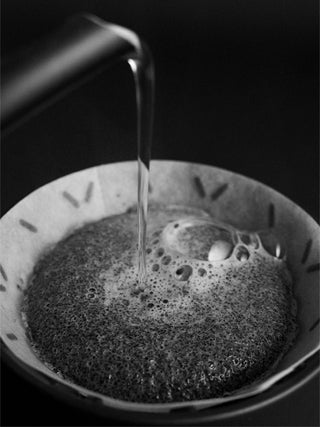 Photo of SIBARIST GRAYCANO Special Edition Coffee Filters ( ) [ Sibarist ] [ Paper Filters ]