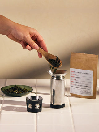FELLOW Carter Infuser