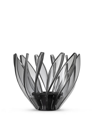 Photo of HARIO V60-02 Suiren Dripper ( ) [ HARIO ] [ Pourover Brewers ]