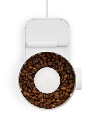 Photo of FELLOW Opus 2 Conical Burr Grinder (120V) ( ) [ Fellow ] [ Electric Grinders ]
