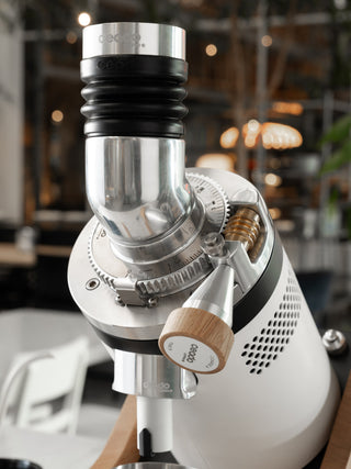 Photo of CEADO E37Z-Naked Single-Dose Grinder (120V) (⌀83mm) ( ) [ ceado ] [ Electric Grinders ]