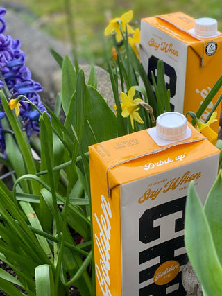 SAY WHEN Golden Chai Concentrate