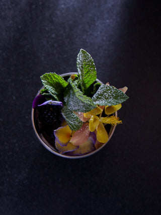 Photo of MiiR Highball (414ml/14oz) ( ) [ MiiR ] [ Reusable Cups ]