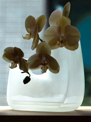 KINTO TRE Vase (200x120x175mm/7.9x4.7x6.9in)