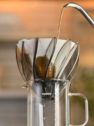 Photo of HARIO V60-02 Suiren Dripper ( ) [ HARIO ] [ Pourover Brewers ]