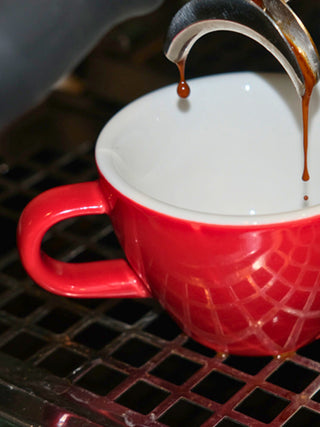 Photo of ACME Classic Medium [Cappuccino] Cup (190ml/6.43oz) ( ) [ Acme & Co. ] [ Coffee Cups ]