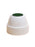 Photo of ACME Taster Cup (210ml/7.10oz) (6-Pack) ( Kawakawa ) [ Acme & Co. ] [ Coffee Cups ]