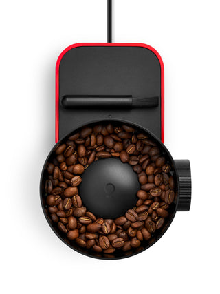 Photo of FELLOW Opus 2 Conical Burr Grinder (120V) ( ) [ Fellow ] [ Electric Grinders ]