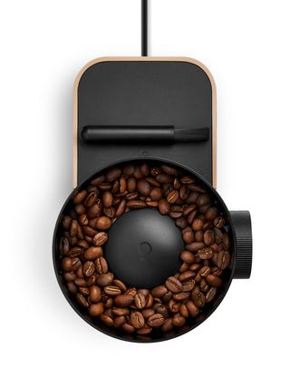 Photo of FELLOW Opus 2 Conical Burr Grinder (120V) ( ) [ Fellow ] [ Electric Grinders ]