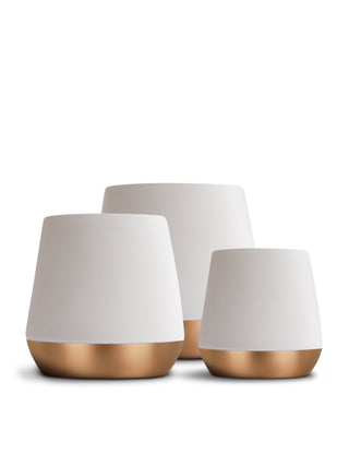 Photo of FELLOW Junior Mug (68ml/2.3oz) (2-Pack) ( ) [ Fellow ] [ Coffee Cups ]