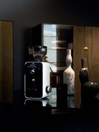 Photo of CEADO Life X All-Purpose Coffee Grinder (120V) ( ) [ ceado ] [ Electric Grinders ]
