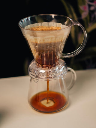 CLEVER Dripper
