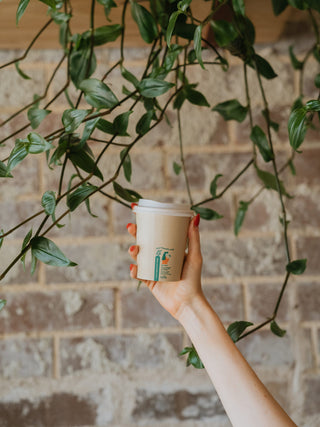 Photo of LITTLE GREEN PANDA Home Compostable Paper Cup (⌀90mm) (1000-Pack) ( ) [ Little Green Panda ] [ Single Use Cups ]