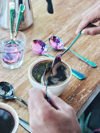 Photo of UMESHISO The Cupper's Kit ( ) [ Umeshiso ] [ Cupping Tools ]