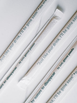 LITTLE GREEN PANDA Paper-Wrapped Home Compostable Straw (⌀8x210mm/⌀0.3x8.3in) (Angled Cut) (180-Pack)
