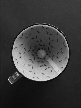 Photo of SIBARIST GRAYCANO Special Edition Coffee Filters ( ) [ Sibarist ] [ Paper Filters ]