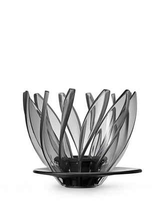 Photo of HARIO V60-02 Suiren Dripper ( Transparent Black ) [ HARIO ] [ Pourover Brewers ]