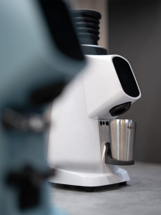 Photo of FIORENZATO AllGround ProBrew Coffee Grinder (120V) ( ) [ Fiorenzato ] [ Electric Grinders ]