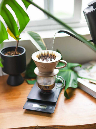 Photo of KALITA Wave 185 MINO Pottery Dripper ( ) [ Kalita ] [ Pourover Brewers ]