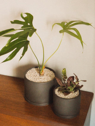 Photo of KINTO PLANT POT 191 (⌀85mm/3.4in) ( ) [ KINTO ] [ Plant Pots ]