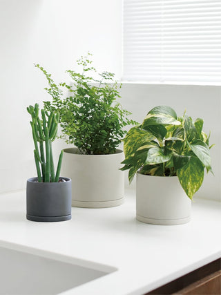 Photo of KINTO PLANT POT 191 (⌀135mm/5.4in) ( ) [ KINTO ] [ Plant Pots ]