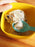 Photo of EKOBO Gusto Small Bowl ( ) [ EKOBO ] [ Bowls ]
