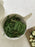 Photo of EKOBO Pronto Large Mixing Bowl & Colander Set ( ) [ EKOBO ] [ Kitchen ]