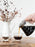 Photo of HARIO Heatproof Yunomi Glass (170ml/5.7oz) (5-Pack) ( ) [ HARIO ] [ Coffee Glasses ]