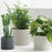 Photo of KINTO PLANT POT 191 85mm ( ) [ KINTO ] [ Plant Pots ]